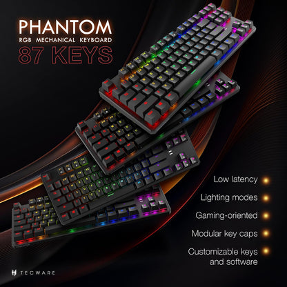 Phantom 87 Key RGB Mechanical Gaming Keyboard | Outemu Red Switch | 16.8M Color LED Lighting | 18 Pre-Set | Low Latency | N-Key Rollover | Software Customizable Keys | Wired USB Connection