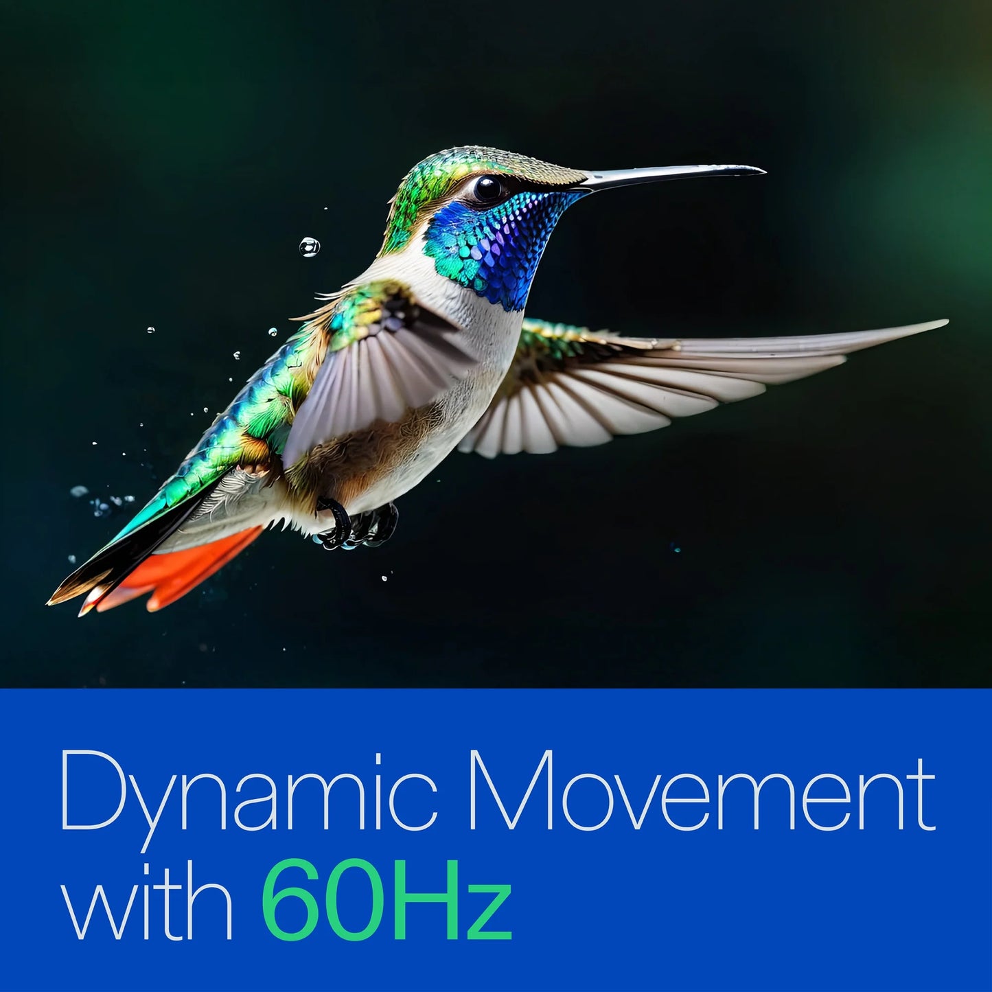 65” Class 4K UHD Roku Smart Television, 100012587